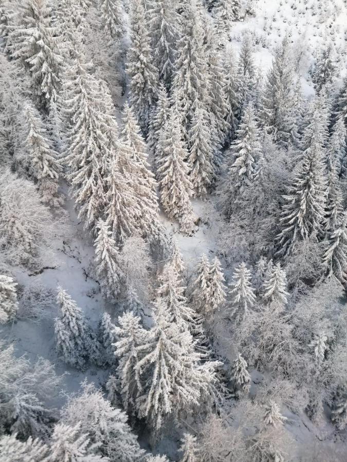 Апартаменты Montepart Zillertal Хайнценберг Экстерьер фото